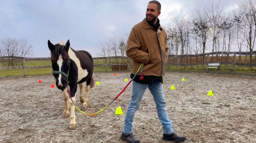 White Hors – Lóval asszisztált csoportos coaching 2