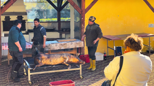 Disznótoros nap zalai módra! – a Garabonciás Farmon, Zalakaros mellett 2