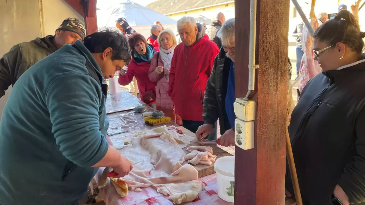 Disznótoros nap zalai módra! – a Garabonciás Farmon, Zalakaros mellett fő kép