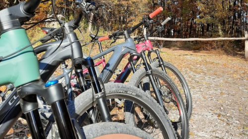 Aszfalton a Pilisben – E-MTB bringatúra Pilisszentkereszt 9