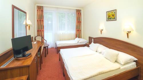 Kikapcsolódás Hajdúszoboszlói Thermal Hotelben 2 éj/2 fő - 2025.04.28.-06.16 / 2025.09.01.-11.02. között 5