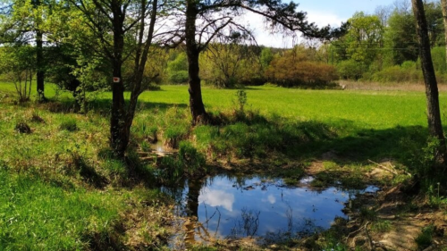 Időutazás, kalandozás Pityeszerre e-bike-kal… (félnapos túra) 5