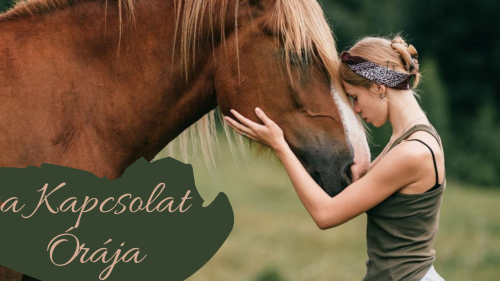 A Kapcsolat órája – Kiút a magányból lovak segítségével 1