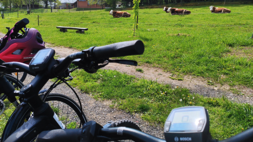 Premium E-bike kerékpárkölcsönzés az Őrségben 2