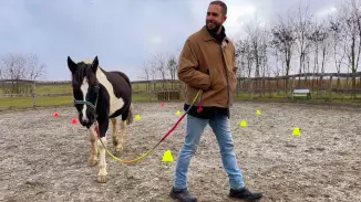 White Hors – Lóval asszisztált egyéni coaching