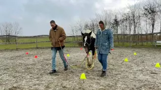 White Hors – Lóval asszisztált coaching: párkapcsolati fejlődés