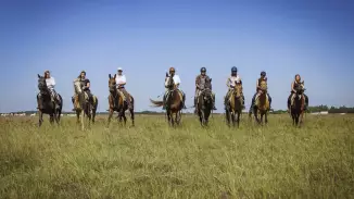 Emese túra - 1 napos túralovaglás Akhal Teke lovakon Ópusztaszeren