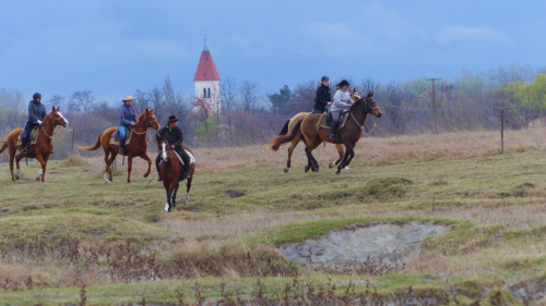 Emese túra - 1 hetes túralovaglás Akhal Teke lovakon Ópusztaszeren 14