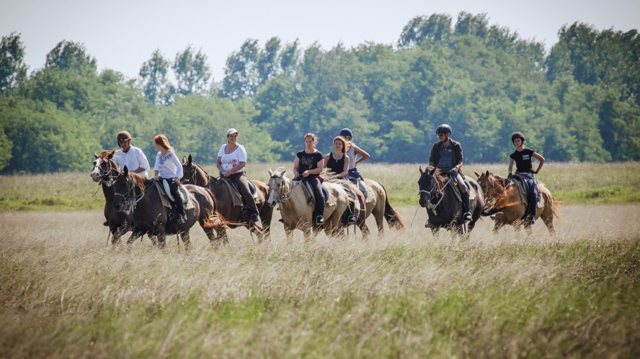 Attila túra - 1 napos túralovaglás Akhal Teke lovakon Ópusztaszeren fő kép