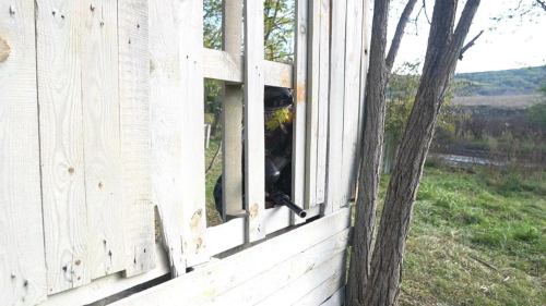 Rambo paintballélmény Gyerekeknek Gödöllő környékén 3